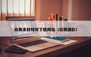 迁西白鹅素材特效下载网站（白鹅摄影）